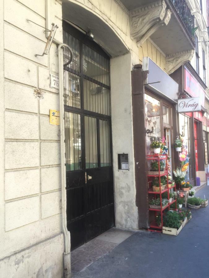 Ava'S Champagne Studio City Center-Andrash Street King Street بودابست المظهر الخارجي الصورة